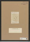 Actiniscus vicenarius Ehr. (de-Toni-Nr.: Genus 149, Species 4176) Zeichnungen Sammlung Grunow Nr. 7722 (NHMW-BOT-W0376932)